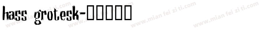 hass grotesk字体转换